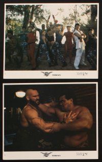 8w763 STREET FIGHTER 8 8x10 mini LCs '94 Jean-Claude Van Damme, Raul Julia in his final role!