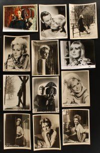 8x155 LOT OF 12 KIM NOVAK 8x10 STILLS '50s-70s great close images of the sexy blonde star!