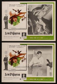 9g101 BIRDS set of 8 Mexican LCs '63 different scenes from classic Alfred Hitchcock horror movie!