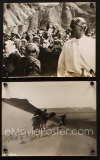 9j949 LAWRENCE OF ARABIA 2 8x10 stills '63 Peter O'Toole, David Lean classic, great images!