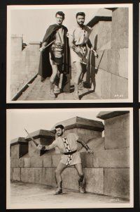 9j244 DAMON & PYTHIAS 18 8x10 stills '62 Il Tiranno di Siracusa, famed story of friendship & fury!
