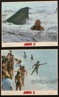 9j173 JAWS 2 4 8x10 mini LCs '78 Roy Scheider, cool shark attack images!