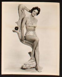 9j446 JOYCE TAYLOR 8 8x10 stills '50s-60s great full-length sexy portrait in swimsuit, more!