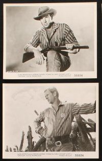 9j301 SHOTGUN 13 8x10 stills '55 sexiest Yvonne De Carlo, Sterling Hayden & Zachary Scott, western!