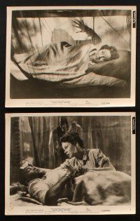 9j578 WHITE WITCH DOCTOR 7 8x10 stills '53 images of Susan Hayward & Robert Mitchum in Africa!