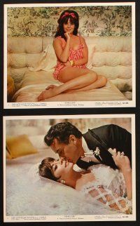 9j015 PENELOPE 12 color 8x10 stills '66 sexy Natalie Wood, Ian Bannen, Jonathan Winters!