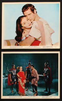 9j023 SILVER CHALICE 11 color 8x10 stills '55 Pier Angeli, Mayo & Paul Newman in his first movie!