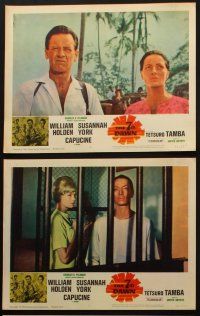 9p602 7th DAWN 6 LCs '64 cool images of William Holden, sexy Susannah York & Capucine!