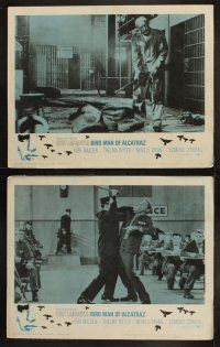 9p059 BIRDMAN OF ALCATRAZ 8 LCs '62 Burt Lancaster in John Frankenheimer's prison classic!