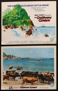9p013 CASTAWAY COWBOY 9 LCs '74 Disney, art of James Garner with lasso in Hawaii on horseback!