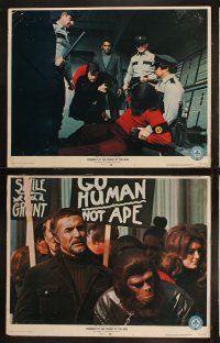 9p097 CONQUEST OF THE PLANET OF THE APES 8 LCs '72 Roddy McDowall, the revolt of the apes!