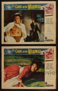 9p717 CURSE OF THE WEREWOLF 4 LCs '61 Hammer, Oliver Reed, Anthony Dawson, sexy Yvonne Romain!