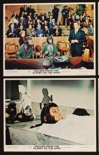 9p574 ESCAPE FROM THE PLANET OF THE APES 7 LCs '71 Roddy McDowall, sci-fi sequel!