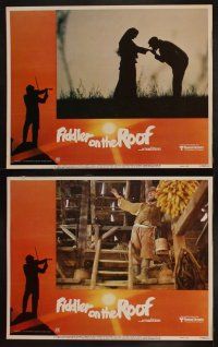 9p143 FIDDLER ON THE ROOF 8 LCs R79 Topol, Norma Crane, Leonard Frey, directed by Norman Jewison!