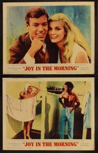 9p249 JOY IN THE MORNING 8 LCs '65 Richard Chamberlain & sexy Yvette Mimieux, Arthur Kennedy!