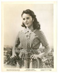 9t776 NATIONAL VELVET 8x10 still '44 great close up of young Elizabeth Taylor in pretty dress!