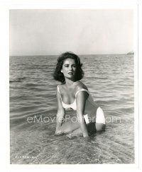 9t908 SUDDENLY, LAST SUMMER 8x10 still '60 classic close up of sexy Elizabeth Taylor in swimsuit!