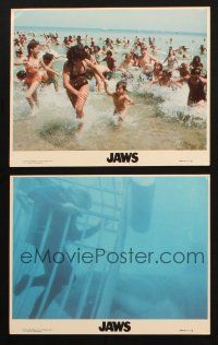 1b238 JAWS 2 8x10 mini LCs '75 cool images of the shark attacking Dreyfuss, panicked swimmers!