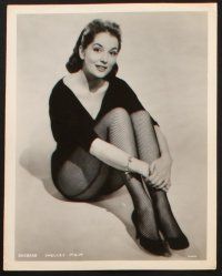 1b401 BARBARA SHELLEY 12 8x10 stills '50s-60s wonderful portraits of the pretty English actress!