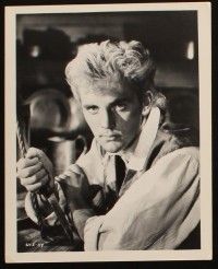 1b961 BILLY BUDD 2 8x10 stills '62 images of Terence Stamp in title role, high seas adventure!