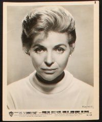 1b286 DOROTHY MCGUIRE 18 8x10 stills '50s-60s cool portraits of the gorgeous star in various roles!
