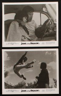 1b415 JAWS OF THE DRAGON 12 8x10 stills '76 James Nam, cool kung fu martial arts action images!