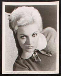 1b289 KIM NOVAK 18 8x10 stills '60s-70s cool portraits of the gorgeous star in various roles!