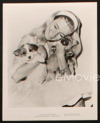 1b957 YVETTE MIMIEUX 3 8x10 stills '60s cool close up portraits with puppies & Richard Chamberlain!