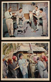 1b170 HORIZONTAL LIEUTENANT 6 color 8x10 stills '62 Jack Carter, Jim Hutton & sexy Paula Prentiss!