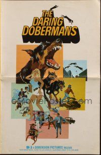1c544 DARING DOBERMANS pressbook '73 Tim Considine, art of killer Doberman Pinschers by Ashmead!