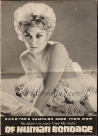1c792 OF HUMAN BONDAGE pressbook '64 super sexy Kim Novak can't help being what she is!