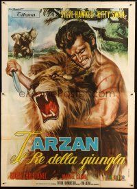 1d057 KING OF THE JUNGLE Italian 2p '69 best Tarantelli artwork of Tarzan rip-off wrestling lion!