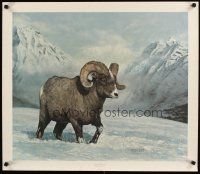 1m268 CHARLES FRACE signed & numbered 25x29 art print '81 by the artist, Bighorn Country!