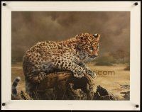 1m267 CHARLES FRACE signed & numbered 22x28 art print '79 by the artist, Leopard Cub!