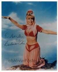 1r0825 BARBARA EDEN signed color 8x10 REPRO still'80s cool kneeling portrait from I Dream of Jeannie