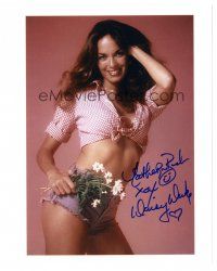 1r0876 CATHERINE BACH signed color 8x10.25 REPRO still '90s super sexy portrait in Daisy Duke outfit