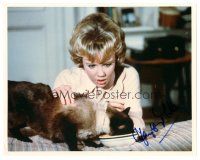 1r0979 HAYLEY MILLS signed color 8x10 REPRO still '00s young close up from Disney's That Darn Cat!