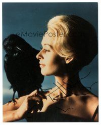 1r1282 TIPPI HEDREN signed color 8x10 REPRO still '90s best close portrait from The Birds!