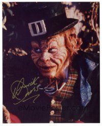 1r1308 WARWICK DAVIS signed color 8x10 REPRO still '90s wacky portrait in costume from Leprechaun!