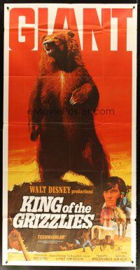 1s623 KING OF THE GRIZZLIES 3sh '70 Walt Disney, half a ton of giant fury, ruler of the Rockies!