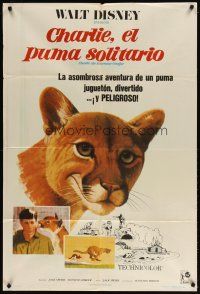 1s132 CHARLIE THE LONESOME COUGAR Argentinean '67 Disney, art of smiling teen-age mountain lion!