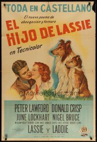 1s218 SON OF LASSIE Argentinean '45 Peter Lawford, art of the classic canine star & puppy!