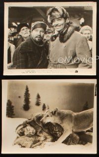 1x902 CALL OF THE WILD 3 8x10 stills R43 cool images of Clark Gable and Jack Oakie w/ dog!