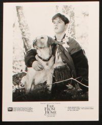 1x863 FAR FROM HOME 4 8x10 stills '95 Phillip Borsos, great image of boy & his dog!