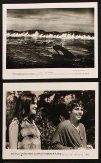 1x678 FREE WILLY 2 7 8x10 stills '95 Dwight Little directed sequel, The Adventure Home, killer whale