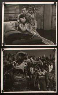 1x493 TEN COMMANDMENTS 11 8x10 stills '56 Cecil B. DeMille, Anne Baxter, Charlton Heston!
