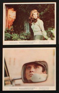 1x243 COLLECTOR 11 color 8x10 stills '65 great images of Terence Stamp & sexy Samantha Eggar!