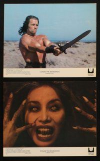 1x265 CONAN THE BARBARIAN 8 8x10 mini LCs '82 Arnold Schwarzenegger & sexy Sandahl Bergman!