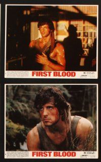 1x278 FIRST BLOOD 8 8x10 mini LCs '82 Sylvester Stallone as John Rambo, Crenna, Brian Dennehy!