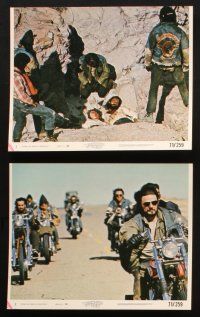 1x370 WEREWOLVES ON WHEELS 8 8x10 mini LCs '71 great images of bikers on Harley-Davidson bikes!